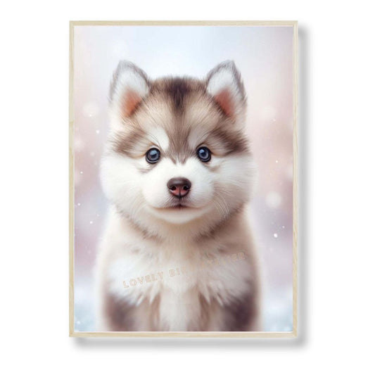 Affiche Husky Bébé